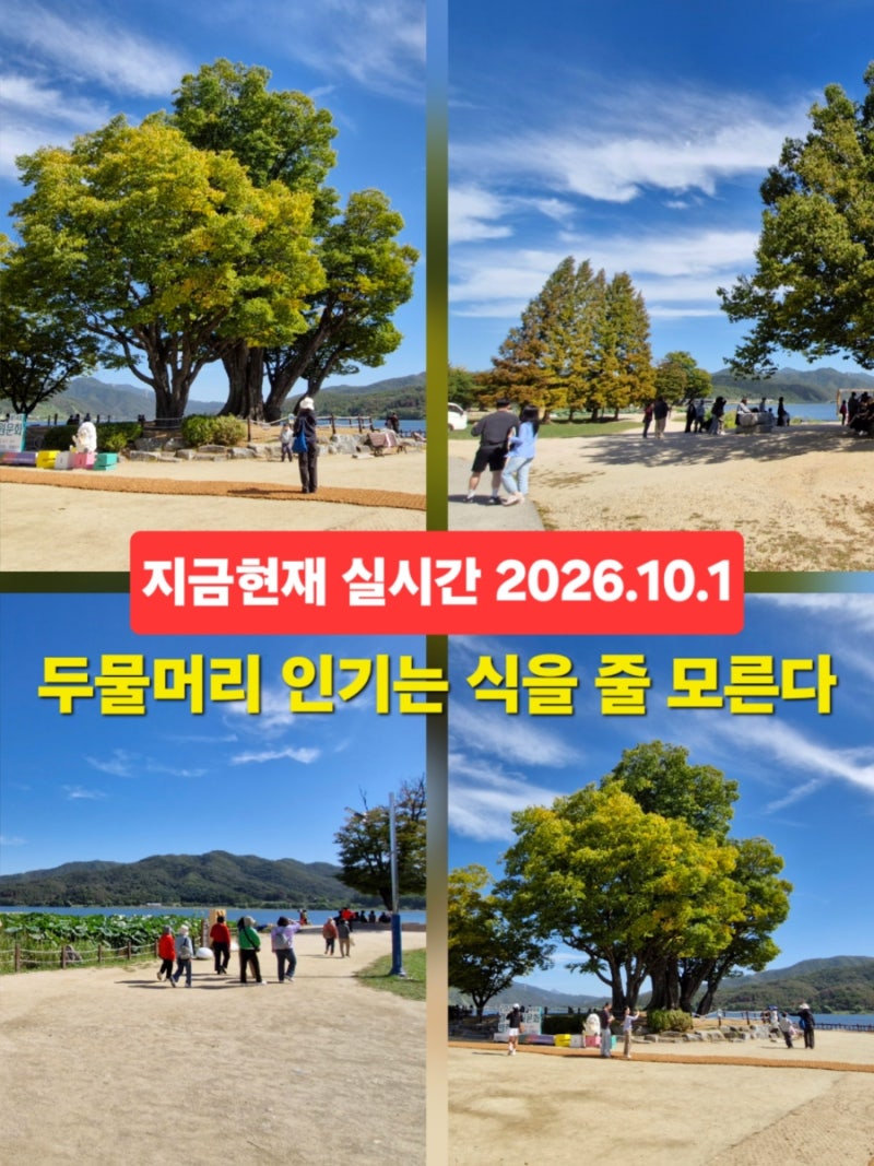 楊平必訪景點兩水頭 秋季出遊 2026.10.1
