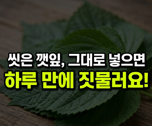 깻잎 영양성분과 보관법, 씻은 뒤 며칠까지 냉장고에서 괜찮을까?