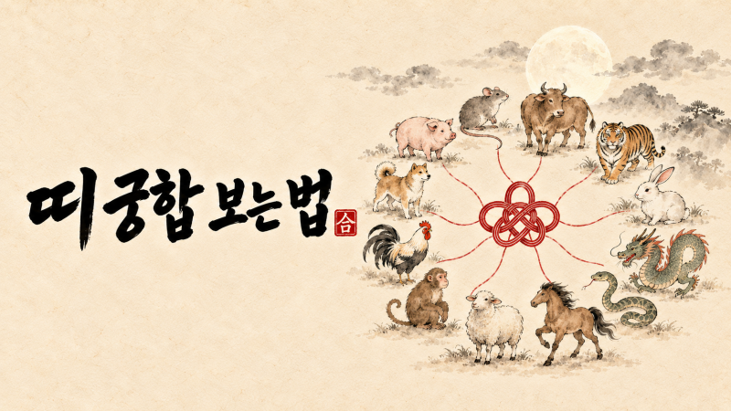 “네 살 차이는 궁합도 안 본다?” 띠 궁합 보는 법