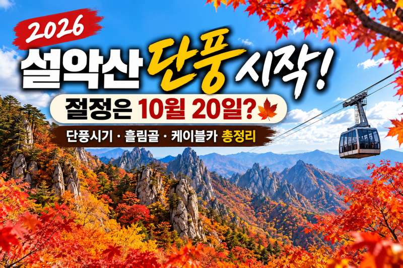 2026 설악산 단풍 시작! 올해 절정은 언제? 10월 단풍시기·흘림골·케이블카 총정리