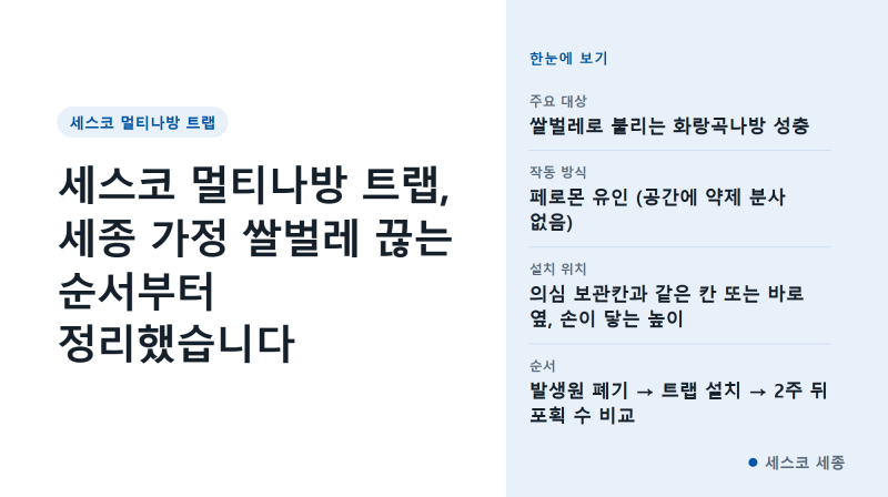 세스코 멀티나방 트랩, 세종 가정 쌀벌레 끊는 순서부터 정리했습니다