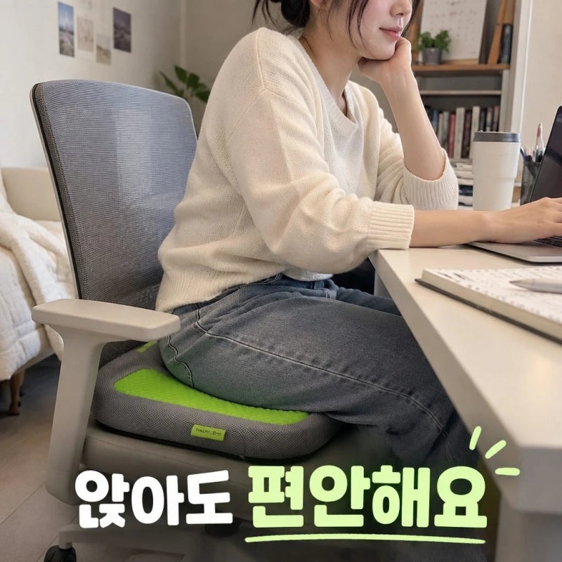 밸런스온 기능성 시그니처 시트 2개세트 치질 꼬리뼈 무중력 자세교정 방석 총정리