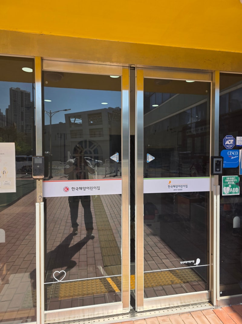 부산 영도 한국해양어린이집 단열필름 시공｜어린이집 띠지·그림시트 시공 전문