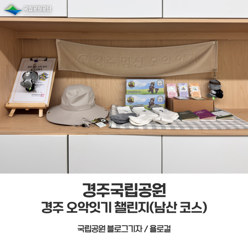 [경주국립공원] 산 전체가 보물 창고! 경주 남산 삼릉~금오봉 오악잇기 등산