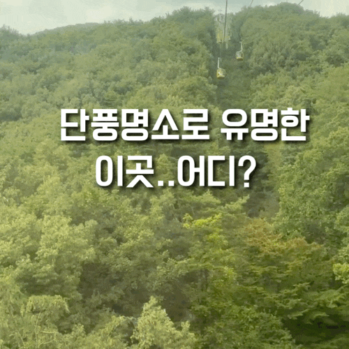 '올해는 여기로..' 대구 팔공산 케이블카 후기 (주차 맛집 가격)
