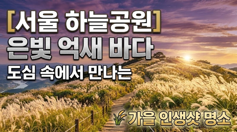Haneul Park, Seoul: A Silver Pampas Grass Sea in the City & Autumn Photo Spot