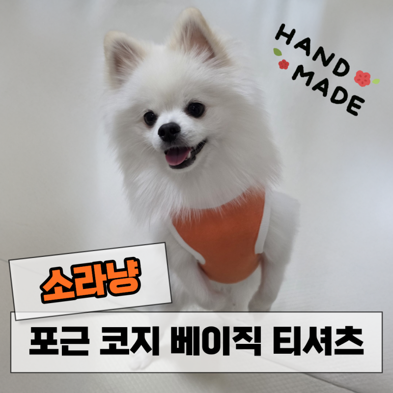 핸드메이드 수제 강아지티셔츠 강아지옷추천