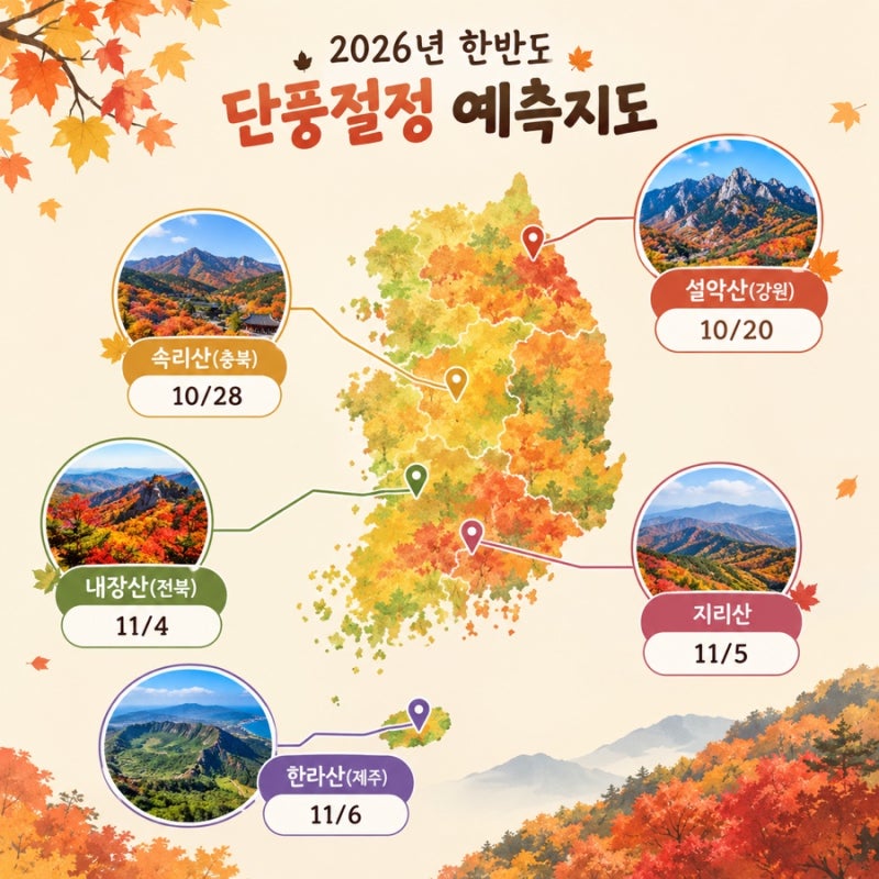 [은평구 엔유성형외과] 2026년 단풍 시기 총정리, 놓치면 후회하는 가을 나들이