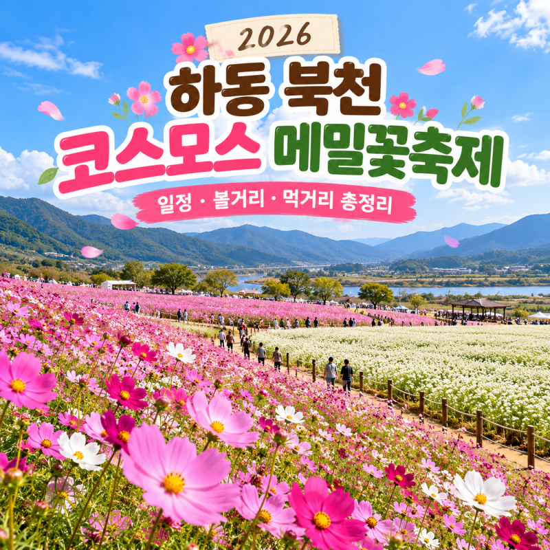 2026 하동 북천 코스모스 메밀꽃축제 일정 총정리｜볼거리·먹거리·주차까지