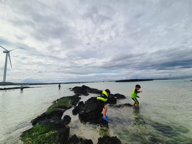 Conan Beach, Haengwon Beach: Snorkeling, Dolphin Watching, Showers, Restrooms Available | Jeju One-Month Stay with Kids