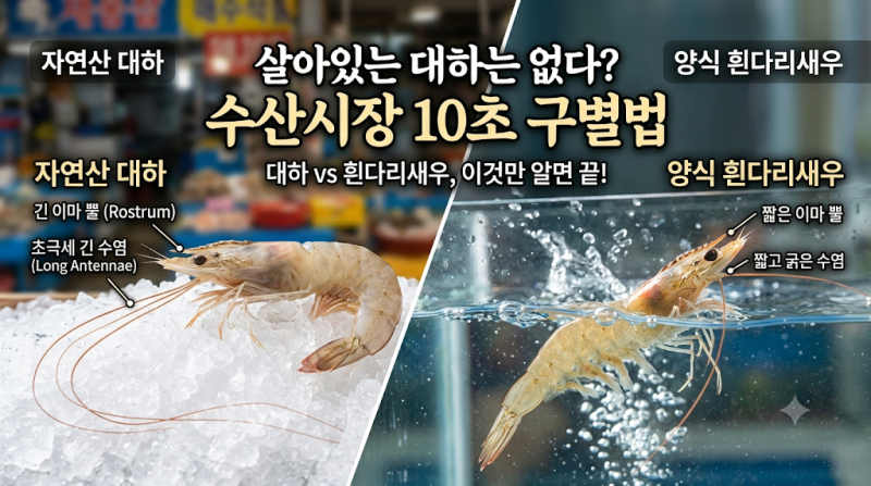 대하와 흰다리새우 차이 총정리, 구별법부터 맛과 특징까지