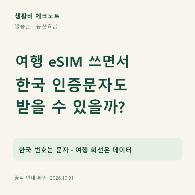 해외여행 eSIM 쓰면서 한국 인증문자 받으려면? 알뜰폰 로밍 설정 체크