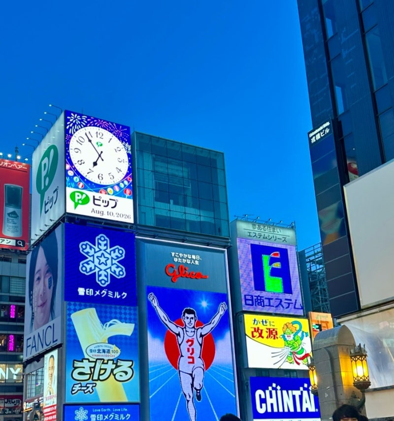 오사카 태교여행_ 싸이벡스 리베르 휴대용 유모차 저렴하게 구입하기(feat. 기내반입 가능 여....