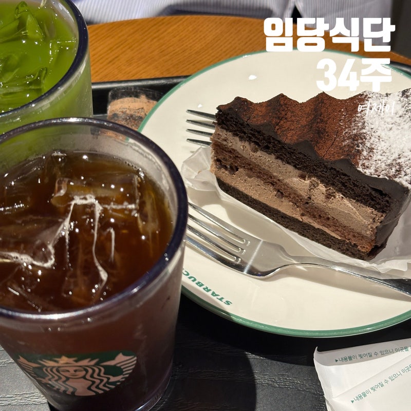 34주 임산부 임신당뇨 임당식단기록 모음
