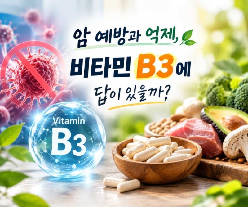 암 예방과 억제, 비타민 B3에 답이 있을까? (충북대 배석철 교수 연구 중심 정리)