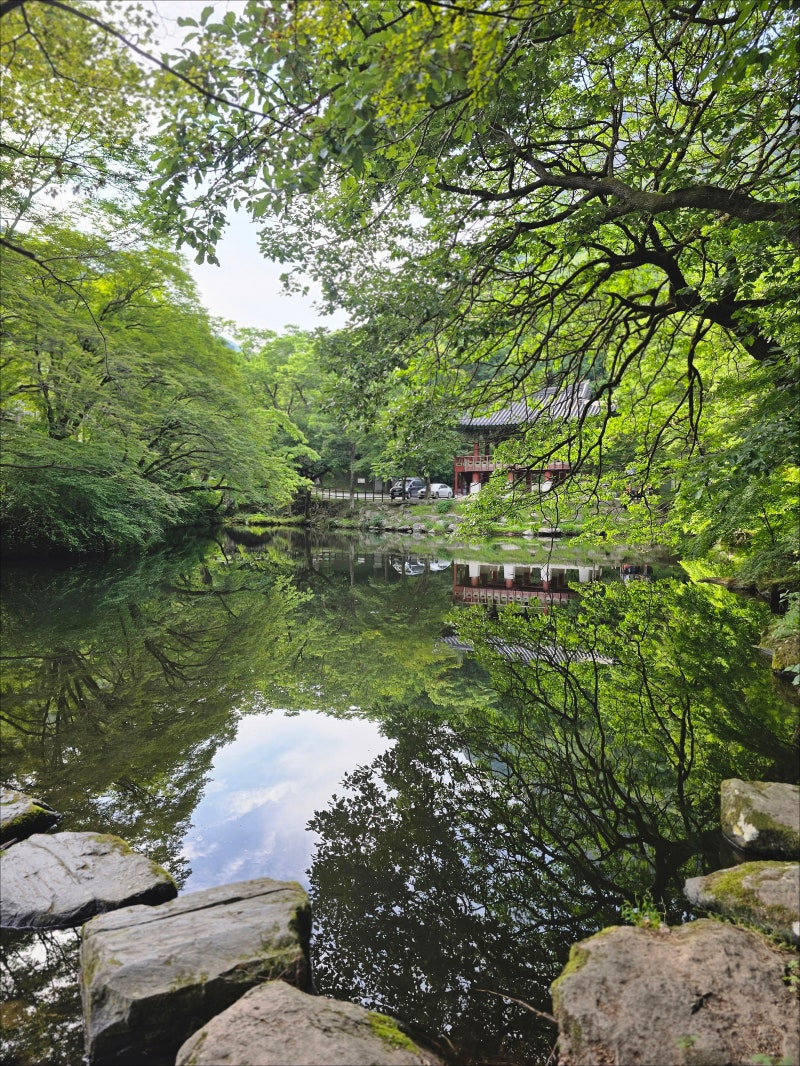 高敞必訪景點：高敞邑城、長城白羊寺 10月旅遊地推薦