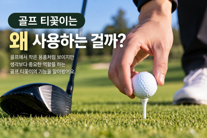 골프 티꽂이 어떤 걸 써야 할까? 롱티·숏티 차이부터 높이까지 알아봤어요