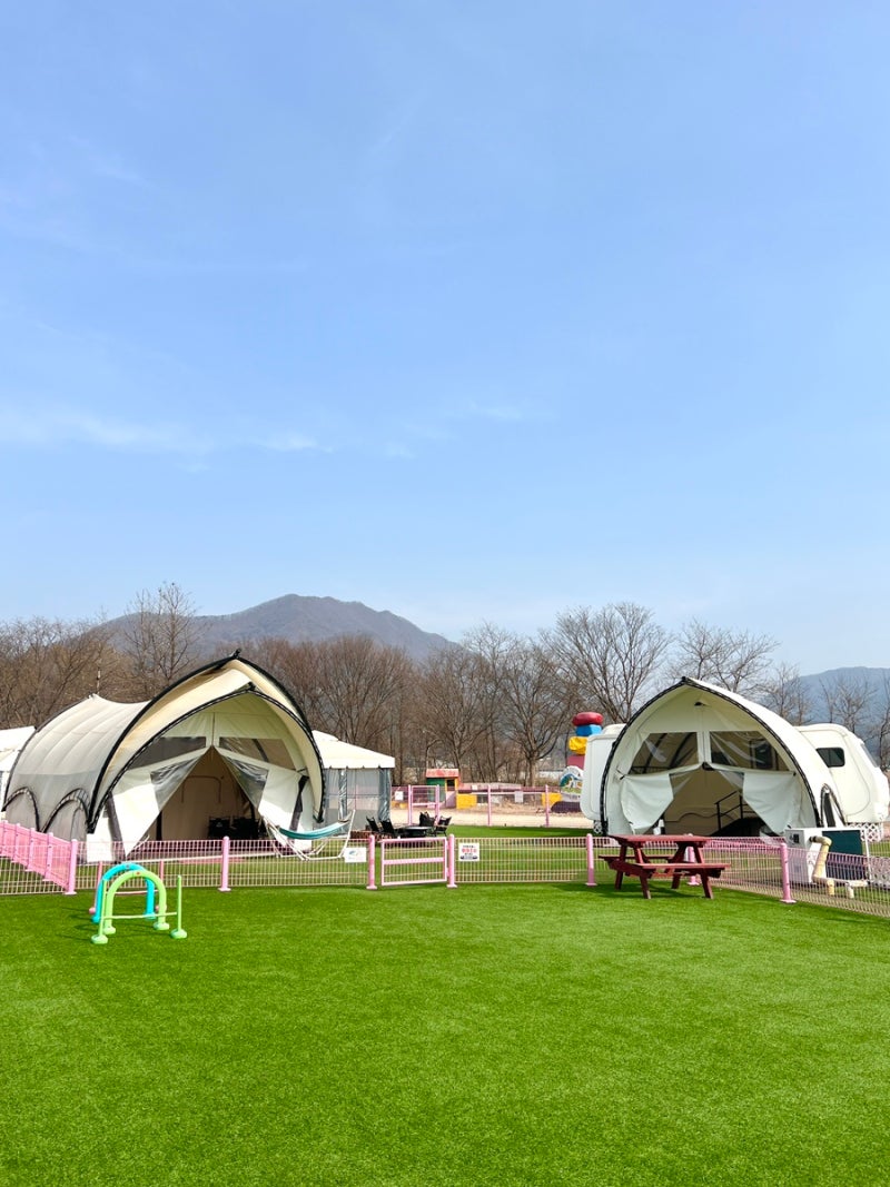 포천 애견동반 글램핑 [핫도그 342], 서울 근교 카라반 애견펜션 상세 후기