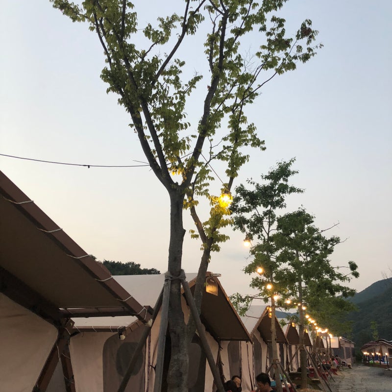 가평 무지개독채펜션 글램핑 가격비교 예약팁
