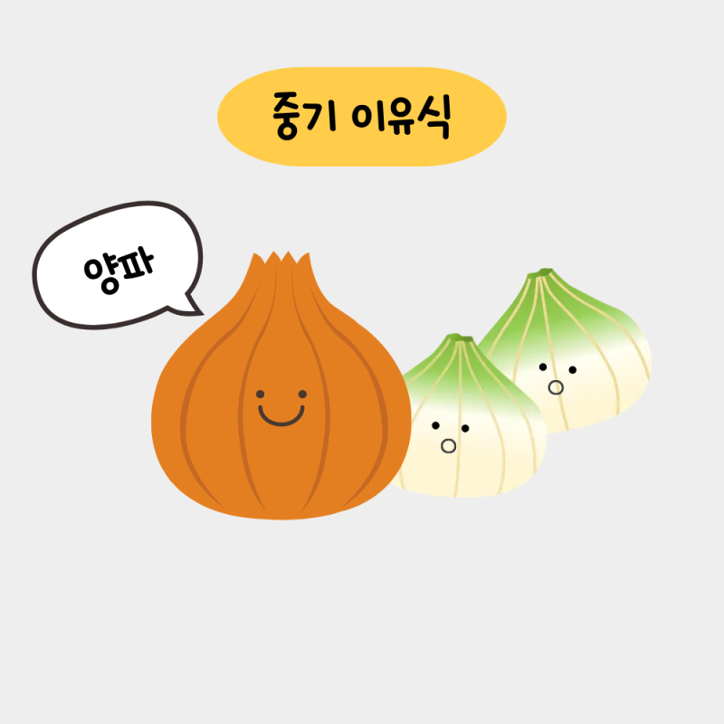 중기 이유식 | 양파 큐브 만들기