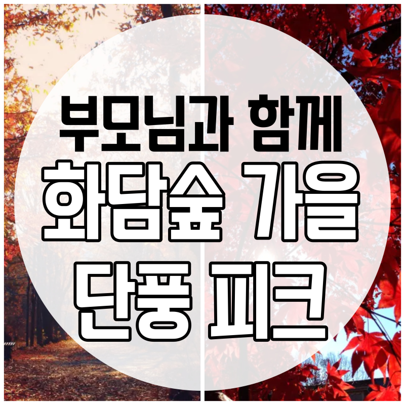 [화담숲] 단풍 절정 후기, 가을 피크 시즌 모노레일 없이 다녀온 화담숲