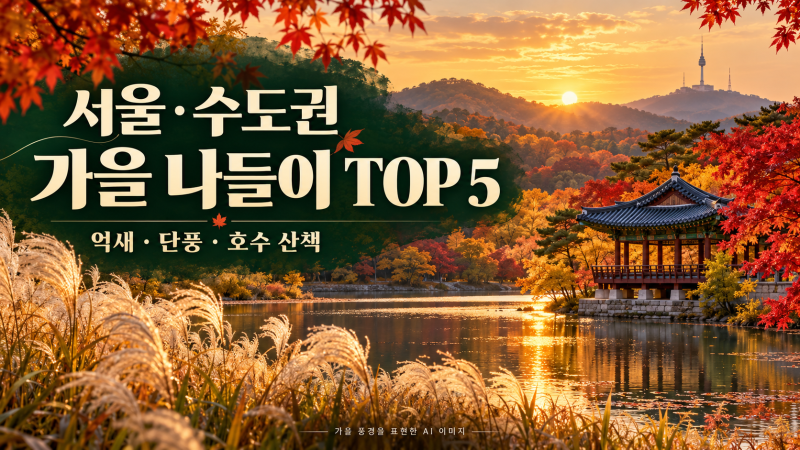 서울·수도권 가을 나들이 추천 TOP 5: 억새·단풍·호수 산책 코스 총정리