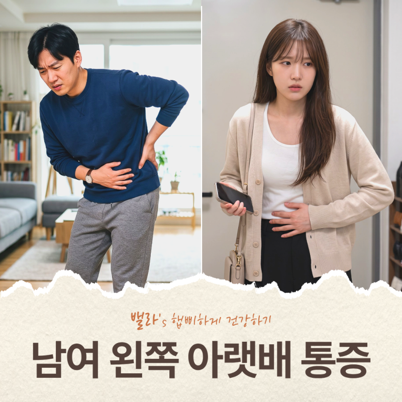 왼쪽 아랫배 통증 여자 남자 다를까?설사·소변·생리별로 정리했어요