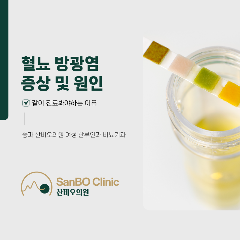 송파 산비오의원 여성 산부인과 비뇨기과 혈뇨 방광염 증상 및 원인, 같이 진료봐야하는 이....