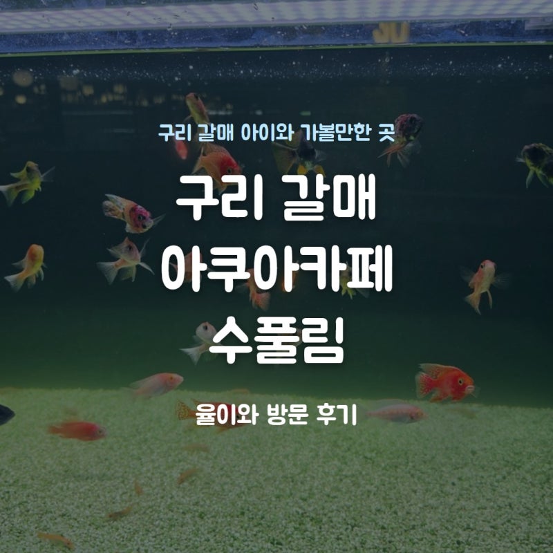 구리 갈매 아이와 가볼만한 곳 아쿠아카페 수풀림 구리갈매점 방문 후기