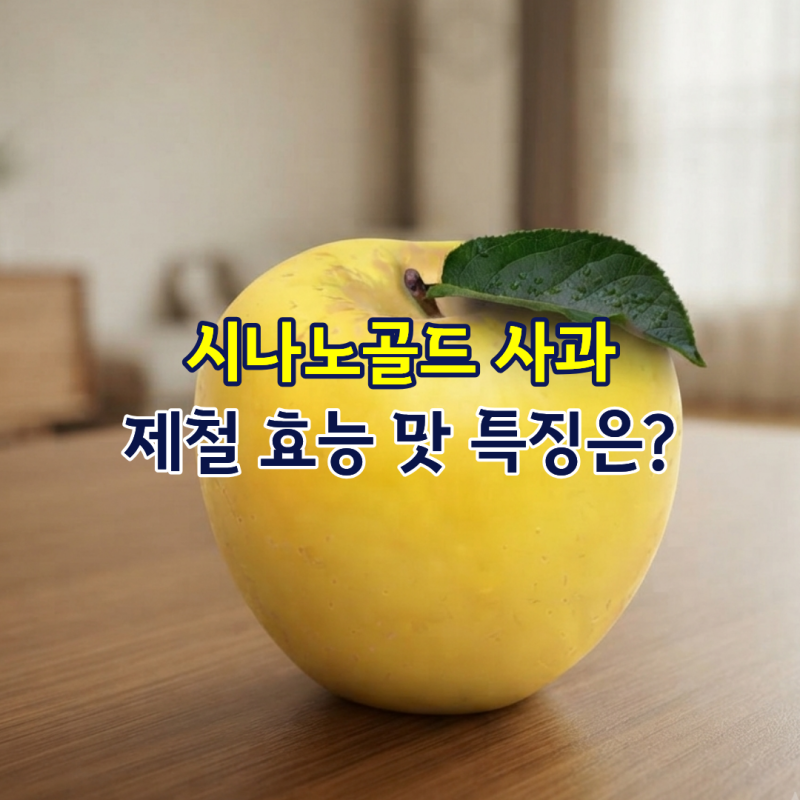 시나노골드 사과 제철 효능 맛 특징은?