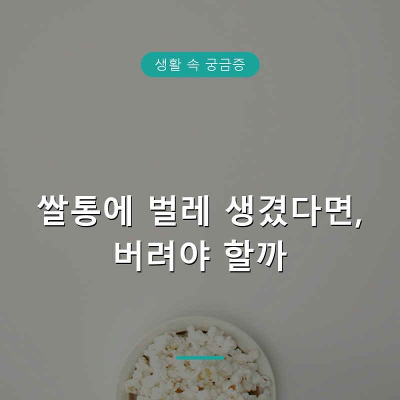 쌀통에 벌레 생기면 밥 해 먹어도 될까, 처리법과 예방법