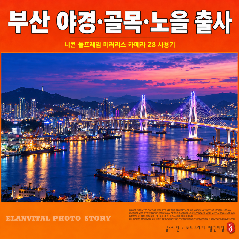 부산 출사 니콘 풀프레임 미러리스 카메라 Z8으로 담은 부산항대교 야경 감천 흰여울 골목과 ....