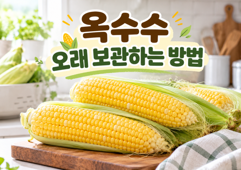 옥수수 오래 보관하는 방법
