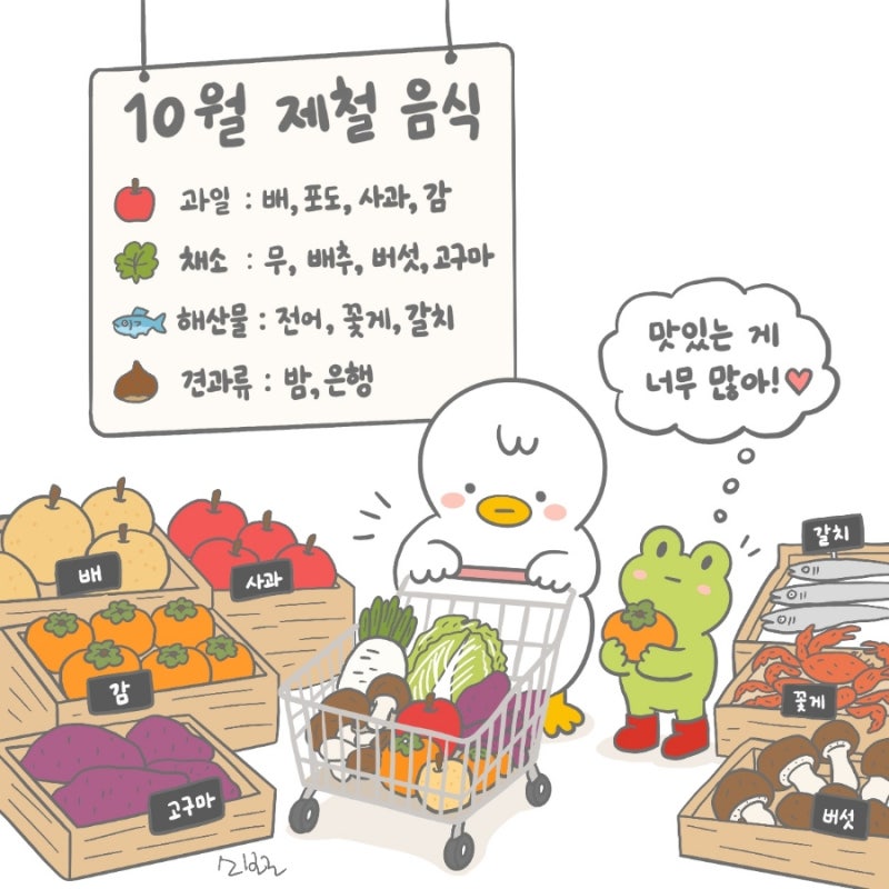 10월 제철음식 총정리, 가을 제철과일 채소 해산물 뭐가 있을까