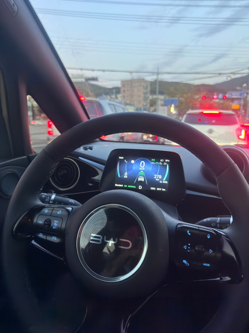 BYD 돌핀, 2개월 실사용 후기 | 직접 느낀 장단점 정리