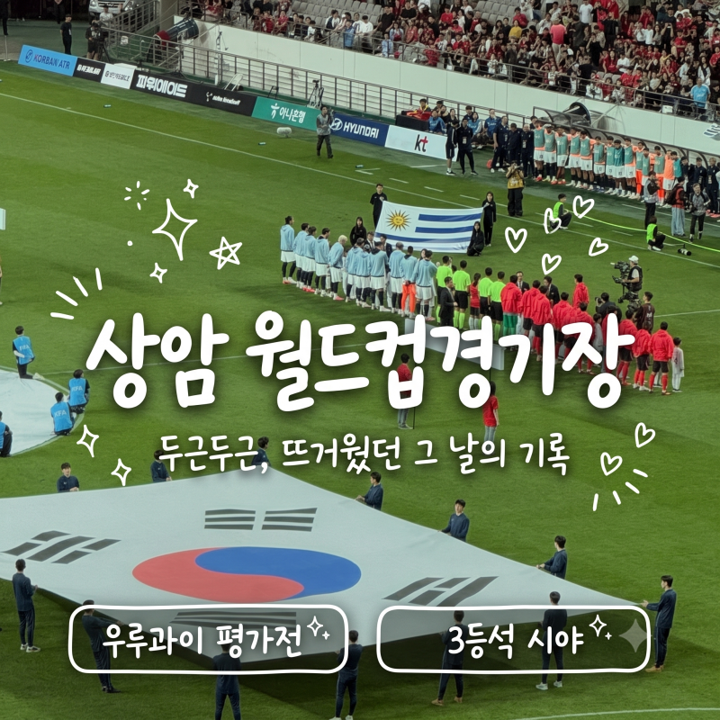 상암 월드컵경기장 3등석 N-H구역 시야 후기 & 강남역까지 앉아서 집에 가는 꿀팁