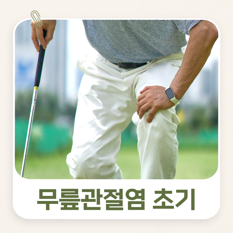 초기 관절염에 찾아온 무릎 안쪽 통증, 연골 문제가 아니라 '거위발건염' 때문일까?