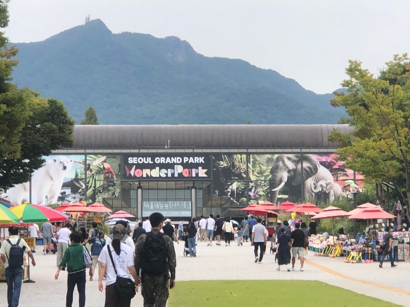 Gwacheon Seoul Land: Rides, Attractions, and Snack Recommendations for Rainy Days