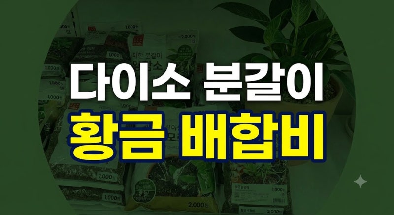 다이소 분갈이 흙, 그냥 쓰면 식물 다 죽습니다? 5천 원으로 끝내는 황금 배합비