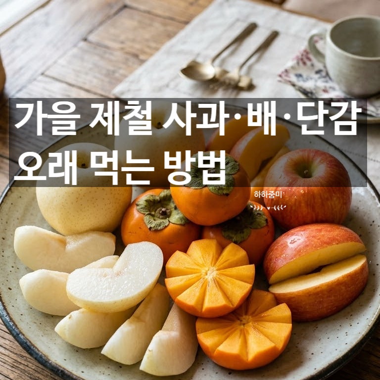 가을 제철 과일 보관법, 사과·배·단감 오래 먹는 방법
