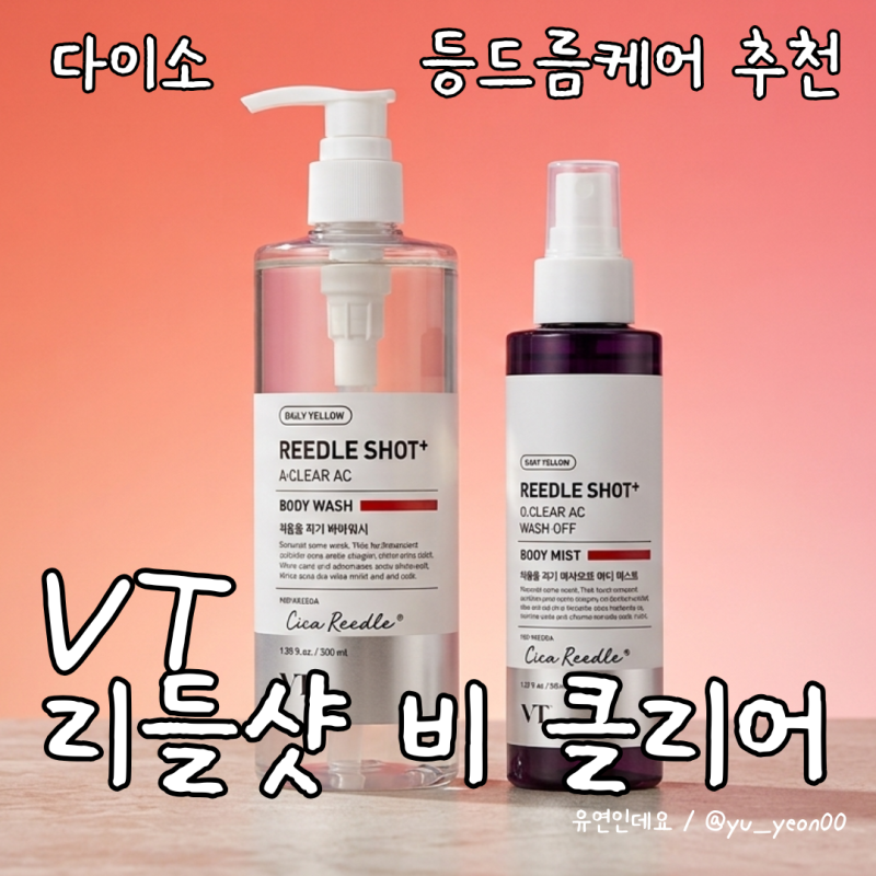 [다이소 추천템] VT 리들샷 바디 2종으로 완성하는 등드름 케어 (바디워시, 바디미스트 추천)