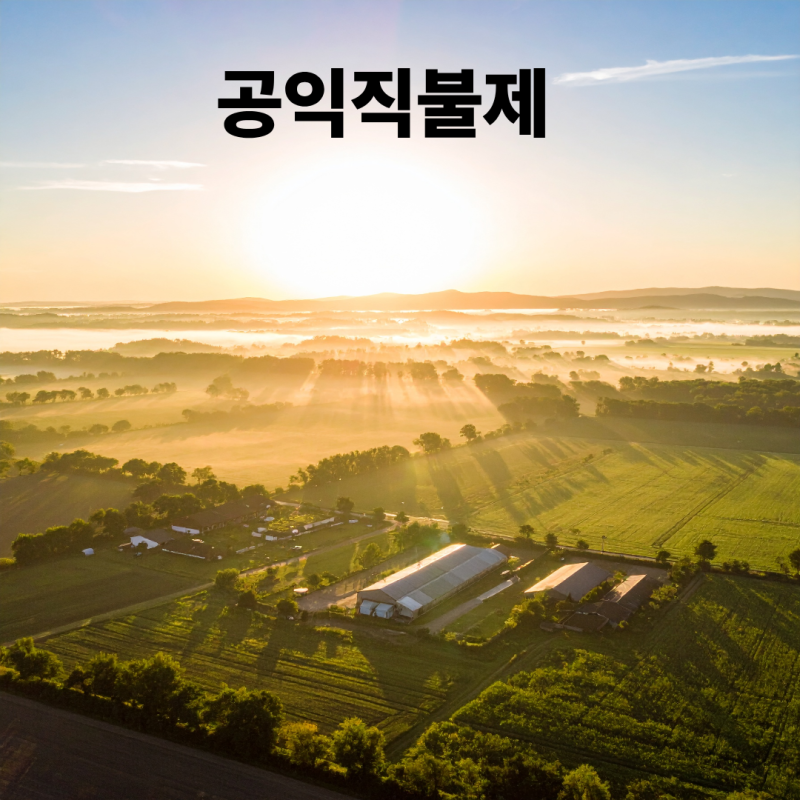 공익직불제