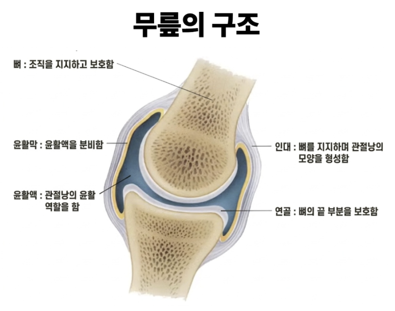 퇴행성관절염 콘쥬란주사 실비 청구 가능할까? 세대별 보상 기준과 급여 적용 팩트 정리