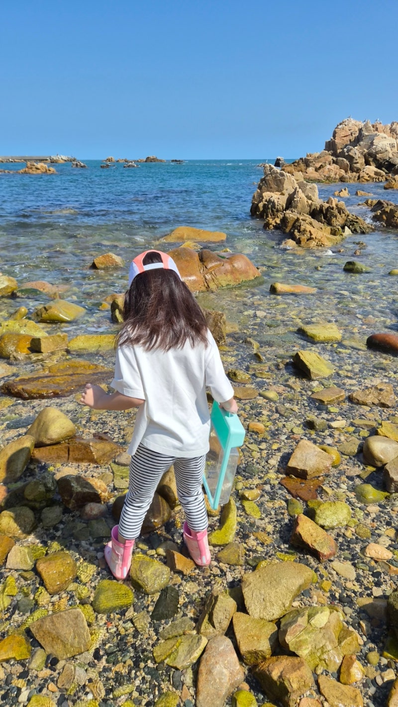 아이와 해루질 가능한 울산 동구 무료피크닉장 명당이라는 14번자리후기 [주전 보밑항 피크....