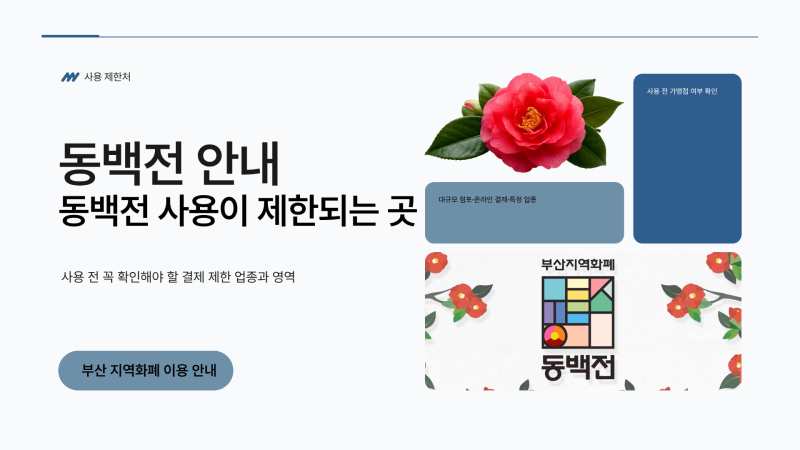 동백전 사용 안 되는 곳｜대형마트·백화점·온라인·교통 결제 제한