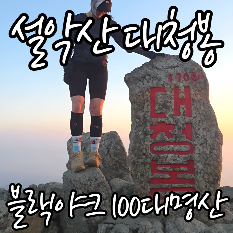 설악산 대청봉 오색 최단코스 등산 후기｜일출부터 운해까지, 블랙야크 100대명산