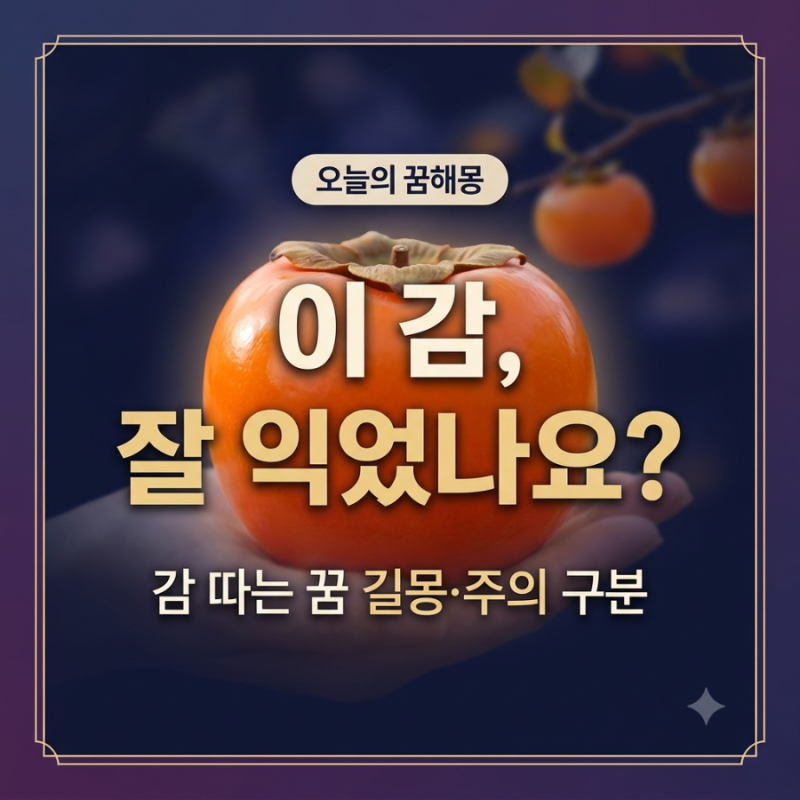 감 따는 꿈 꿨는데 길몽인가요? 홍시와 썩은 감 차이부터 확인하세요