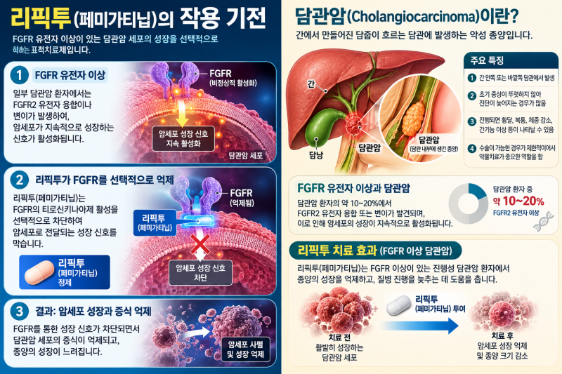 HLB 상한가, 왜 터졌나…담관암 신약 '리픽투' FDA 승인이 불러온 HLB 그룹주 불기둥