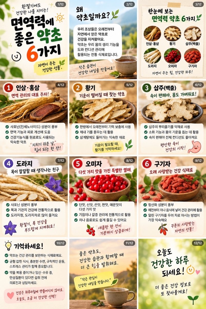 면역력에 좋은 약초 6가지, 환절기 건강 챙길 때 알아두세요