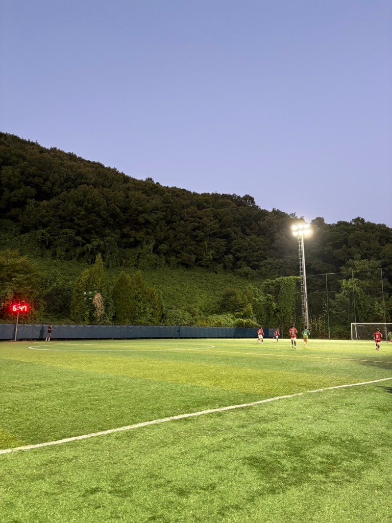 용인 수지구 신봉배수지축구장 인조잔디 상태부터 주차 예약 방법 총정리